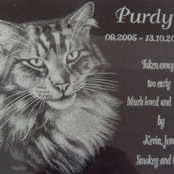 Shop-cat-memorials-1