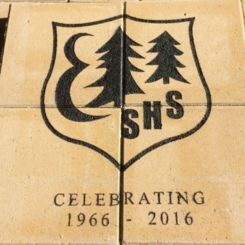 Shop-engraved-fundraising-bricks-7