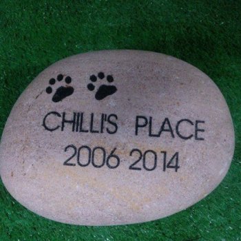 Shop-pet-memorial-plaques-headstones-6