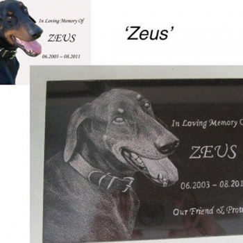 dog-memorial-plaques-4