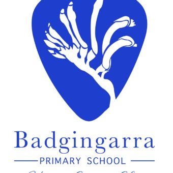 Badgingarra Primary School Brick